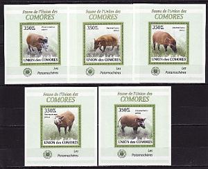 Коморы, 2009, Дикие свиньи, 5 люксблоков